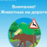 Что делать если вы встретились с дикими животными на загородных трассах? - Городское поселение Октябрьское