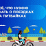 ✅Все, что нужно знать о поездках на питбайках - Городское поселение Октябрьское