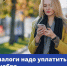 До 1 декабря нужно уплатить налоги за 2024 год - Администрация Октябрьского района